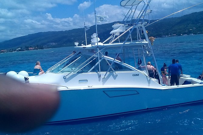 Ocho Rios Shore Excursion: Private Snorkel Tour - Personalized Experience
