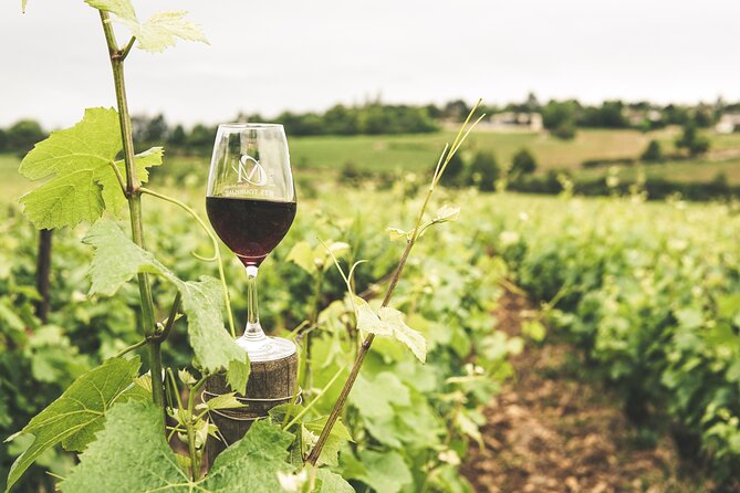 Okanagan 2 Days Sightseeing and Wine Tasting Tour - Stunning Coastal and Mountain Views