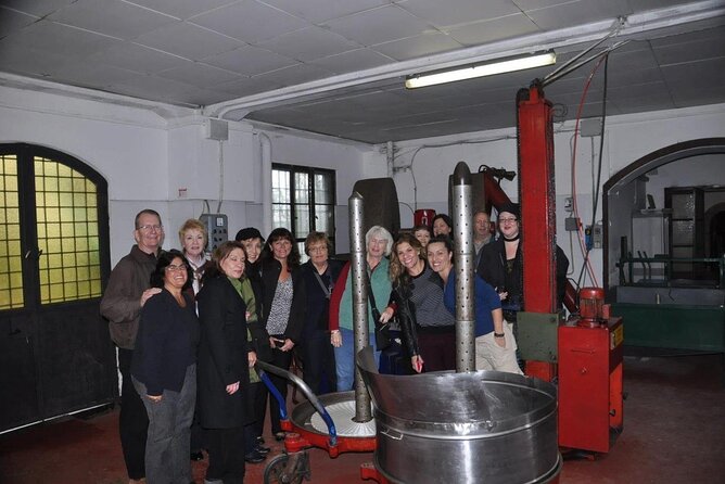 Olive Mill and Winery Experience at Castiglione in Teverina - Scenic Views and Surrounding Countryside