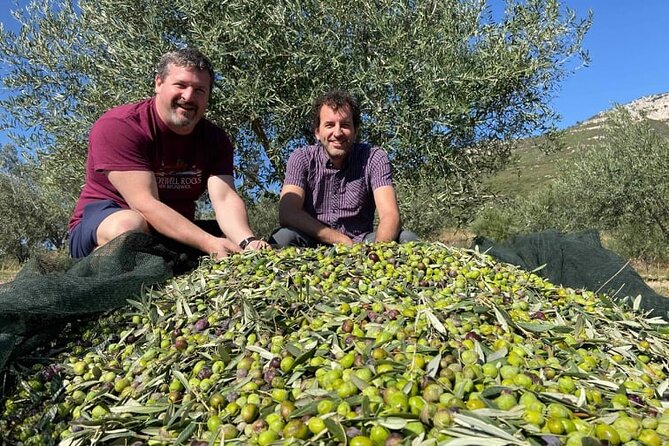 Olive Oil Tour & Tasting With Sommelier -Kalentzi, Athens Daytrip - Olive Oil Production Insights