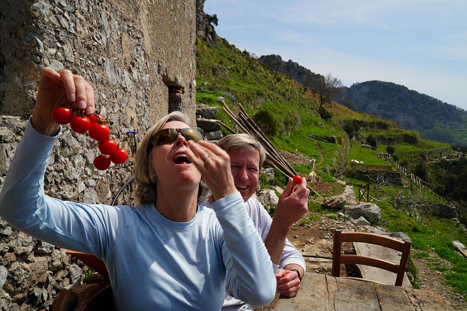 On the Path of the Gods: Private Trekking and Shepherd Snack - Viator Help Centre for Inquiries