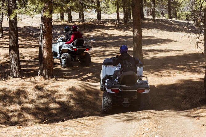 One Hour Guided ATV Ride in Utah - Navigating Bryce Canyons Trails