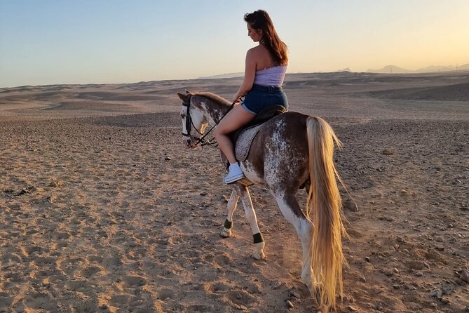 One Hour Horse or Camel Riding With Transfer- Sharm El-Sheikh - Suitability for Children