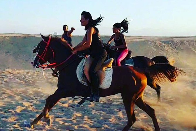 One Hour Horse Riding at Desert With Transfer - Sharm El Sheikh - About the Desert Location