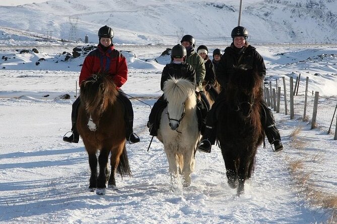 One-Hour Horseback Riding Tour Review - Cancellation and Booking Information