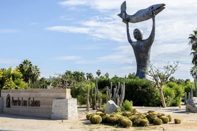 One Way Airport Transfer From Sjd-Hotel or Hotel-Sjd Cabo San Lucas Zone - Communication Importance