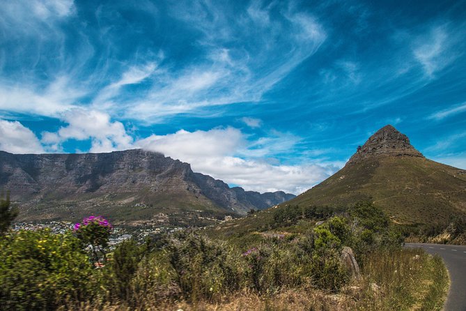 One-Way Hop-On Hop-Off Bus From Port Elizabeth to Cape Town - Traveler Experiences and Feedback