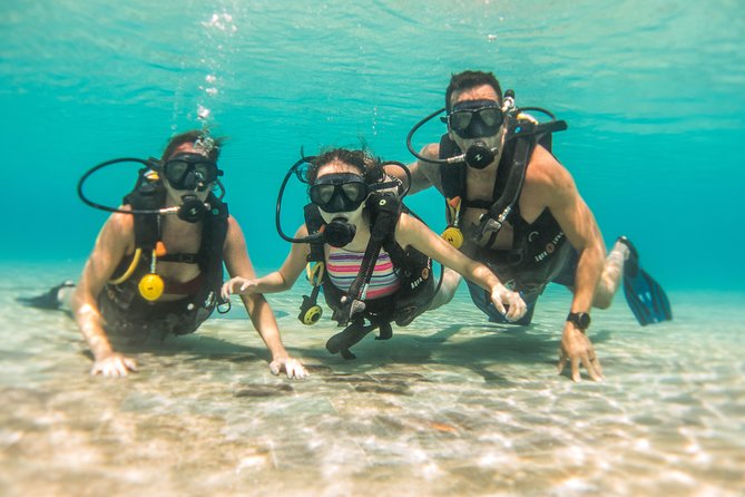 Open Water Course Cozumel - Pricing and Cancellation