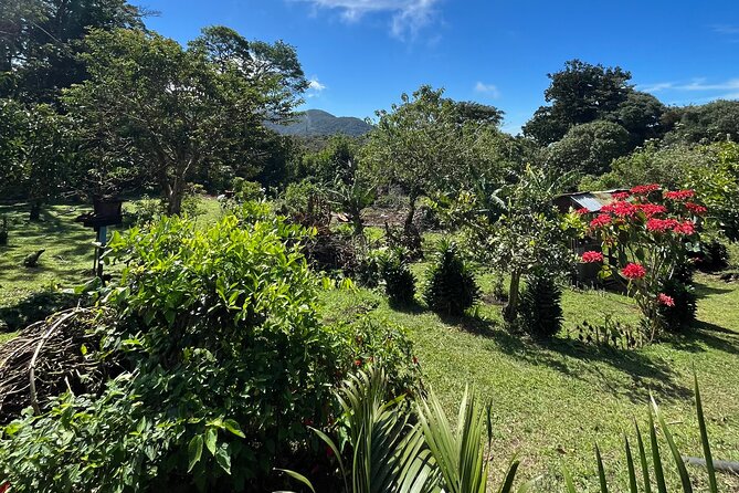 Organic Farming Volunteering Program Finca El Secreto - Meals and Accommodations