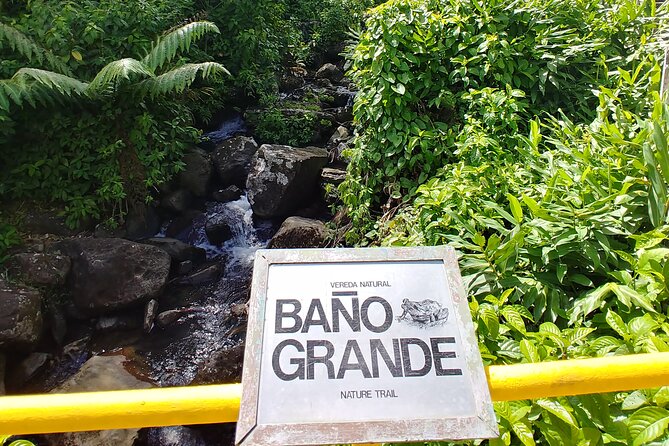 Original Tropical Rainforest and Beach Adventure - Enjoying the Beach