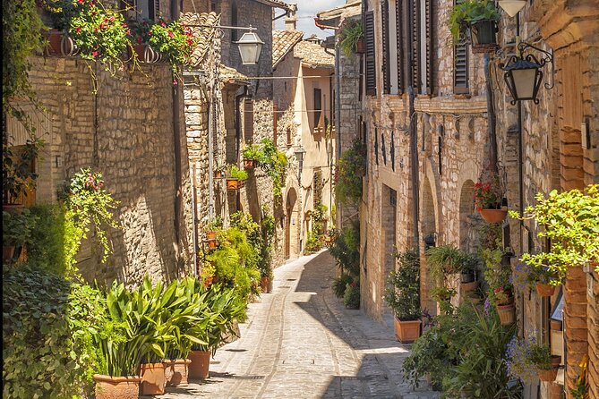 Orvieto and Civita Di Bagnoregio From Civitavecchia - Private Tour - Accessibility Features