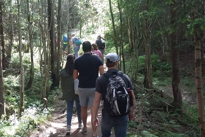 Oslo Nature Walks: Forest to Fjord - Traveler Feedback
