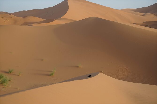 Overnight Desert Tours From Fez to Fez - Pickup Locations