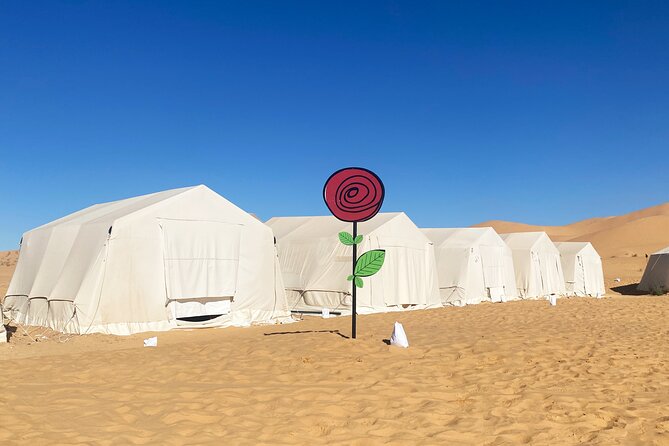 Overnight Tunisia Sahara Desert Safari by 4x4 From Douz - Accessibility and Dietary Options