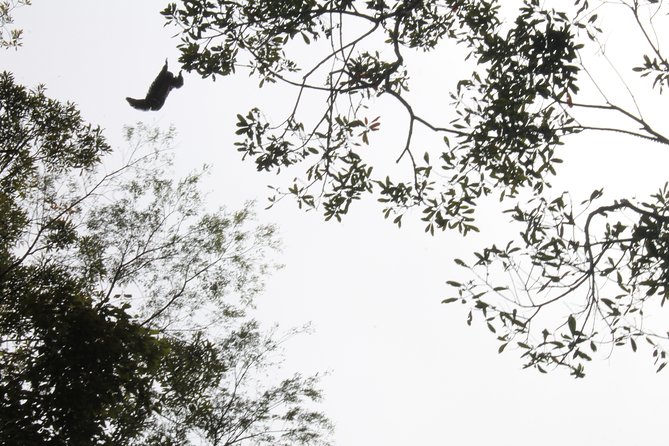 Pacaya Samiria National Park Full Day Tour - Tour Schedule and Duration
