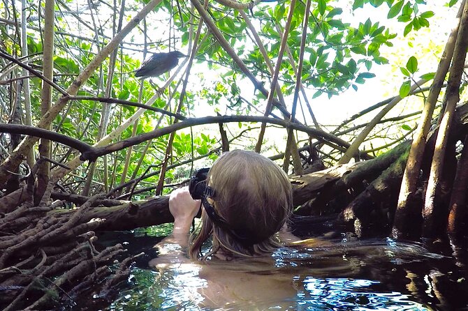 Paddle and Snorkel in Cenote - Riviera Maya - Additional Information