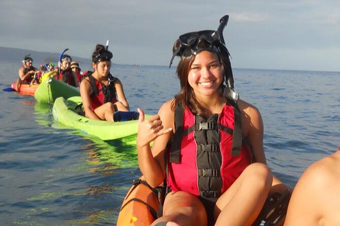 Paddle, Snorkel and Learn to Surf - All in a Day on Maui (South Side) - Wildlife Encounters