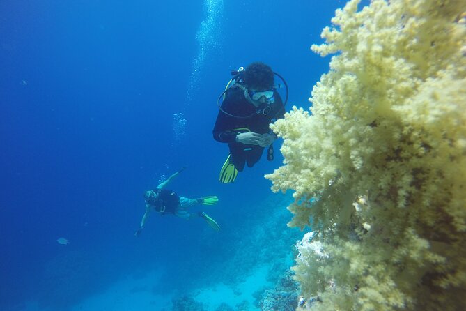 PADI 3 Days Open Water Course - Customer Experiences