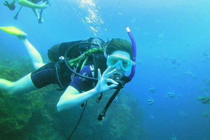 Padi Open Water Diver Course - Cancellation Policy and Pricing