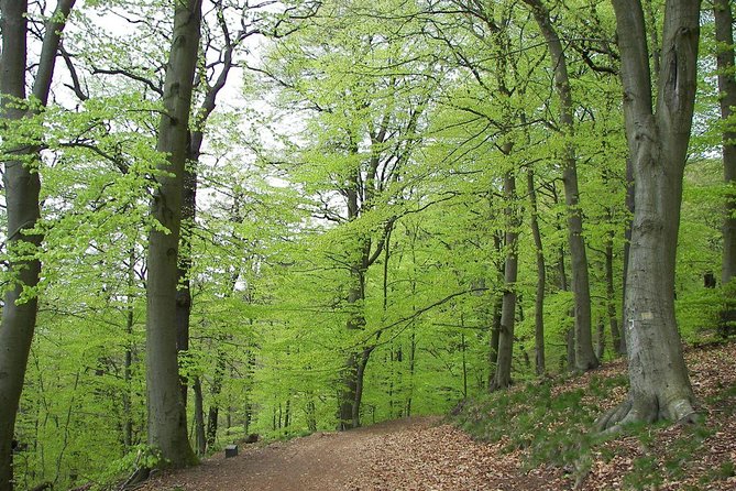 Paklenica National Park Admission Ticket - Accessibility and Fitness