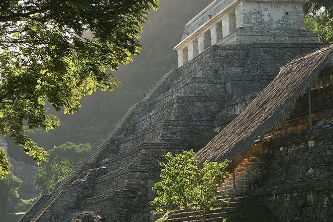 Palenque Archaeological Site From Villahermosa City or Airport - Customer Reviews and Feedback