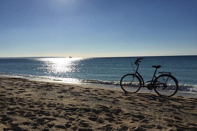 Palma De Mallorca 3-Hour Highlights and Tapas Tasting Bike Tour - Participant Experience