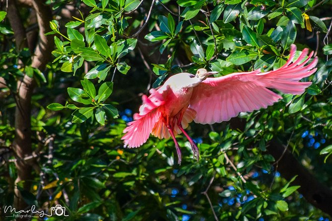 Palo Verde National Park Day Trip - Exploring Palo Verde National Park