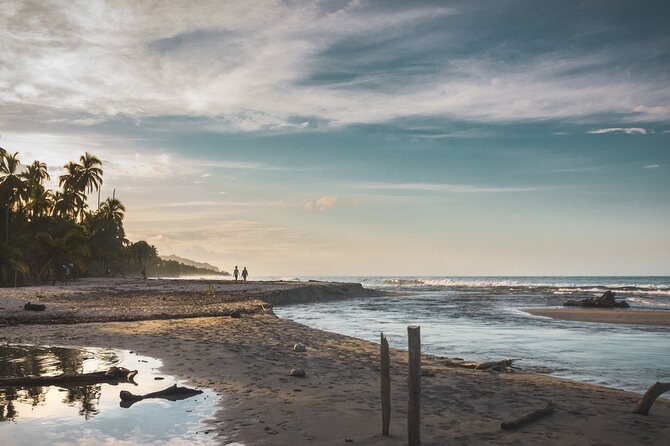 Palomino Horseback Riding Tour - Exploring the Palomino Landscape