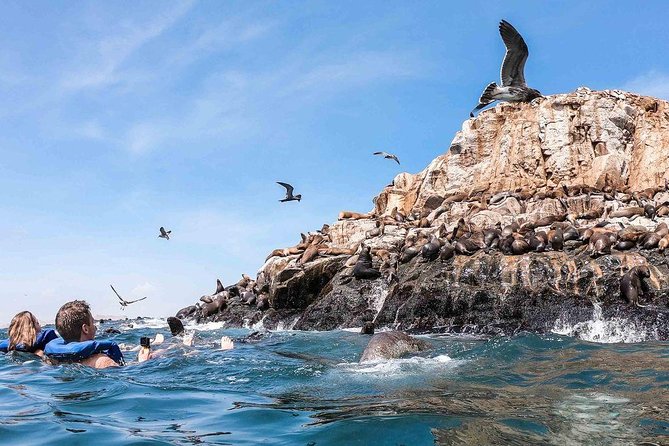 Palomino Islands Tour With Shuttle Service - Experiencing the Tour