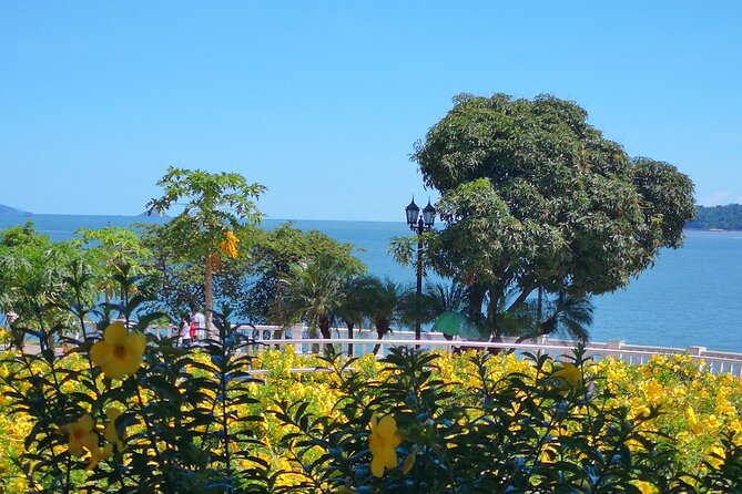 Panama City Like a Local: Customized Private Tour - Meeting and End Points