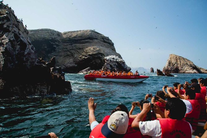 Paracas, Ica and Huacachina Oasis From Lima With Touristic Van - Wildlife Viewing at Ballestas Islands