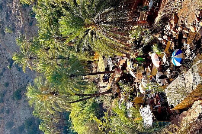 Paradise Valley Agadir Day Trip - Pickup Locations and Fees