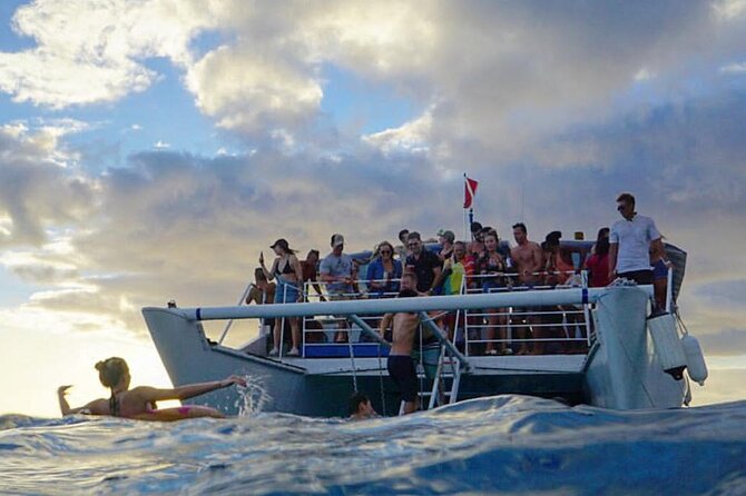 Paradise Waikiki Sunset Cruise + LIVE DJ + SWIMMING - Suitability and Considerations