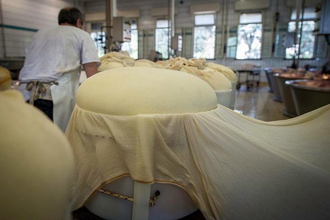 Parmigiano Reggiano Cheese Factory Tour & Tasting Experience - Cheese Production and Dairy Farming