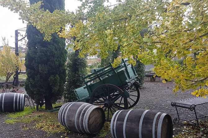 Pasta Perfected: Culinary Adventure and Wine - Rome Countryside - Reviews and Ratings