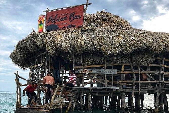 Pelican Bar Private Tour - Expert Insights