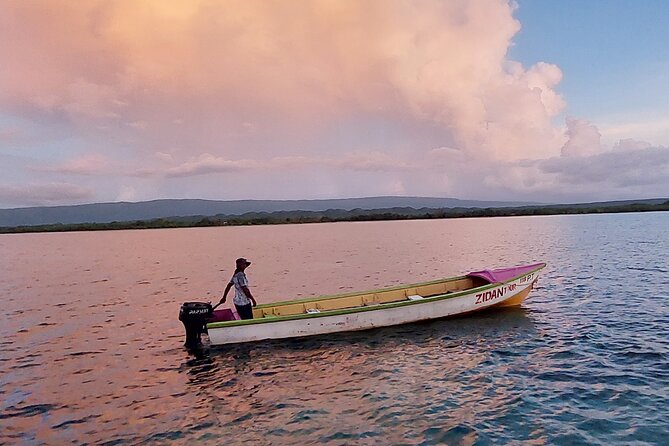 Pelican Bar South Coast Experience, Appleton Rum Tour and YS Falls - Customer Feedback