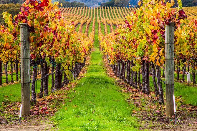 Peljesac Peninsula Wine Tasting Luxury Tour From Dubrovnik - Wine Tasting Highlights