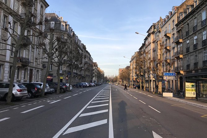 Personal Taxi Driver Strasbourg <=> Paris Charles De Gaulle Airport (Cdg) - Accessibility and Participation