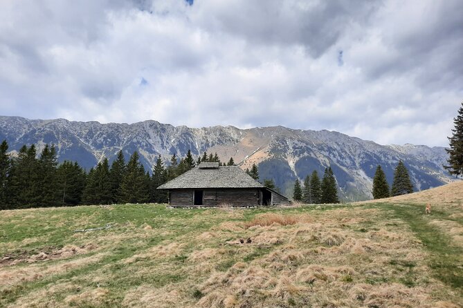 Pestera and Magura Full-Day Private Walking Tour From Brasov - Health and Safety