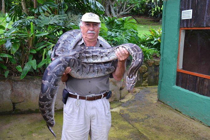 Phezulu Cultural Village & Reptile Park Day Tour From Durban - Reptile Park Experience
