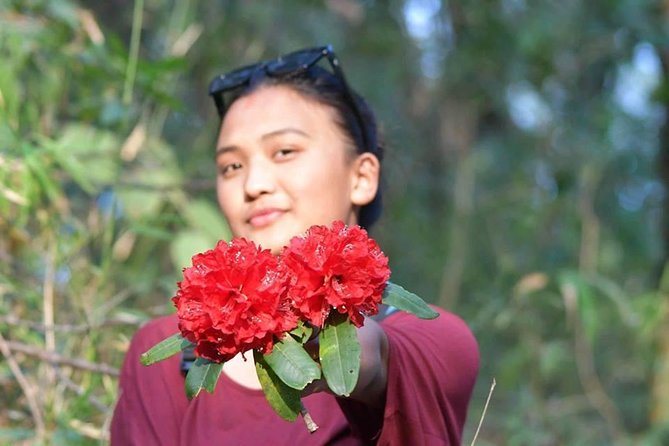 Phulchowki Day Hiking - Tips for a Successful Hike