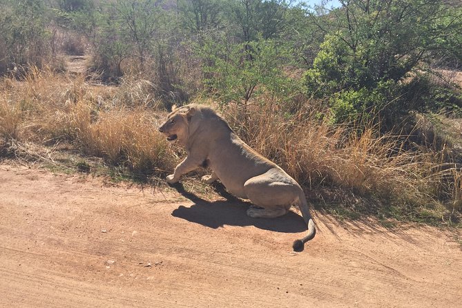 Pilanesberg Camping Safari From Johannesburg - Accommodation and Amenities
