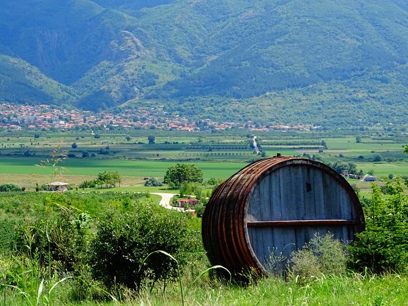 Plovdiv and Thracia Valley With Wine Tasting - Language Options