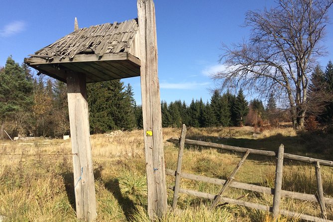 POIANA BRASOV and POSTAVARU CHALET Ebike Tour (Brasov) - Booking and Pricing Details