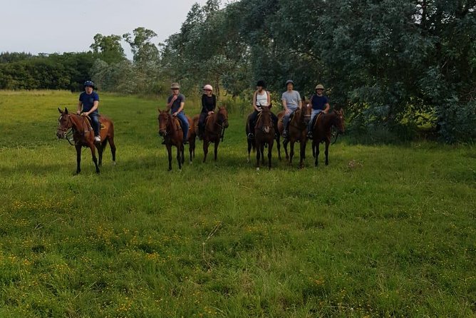 Polo Day in Pilar, Buenos Aires - Transportation and Lunch Included