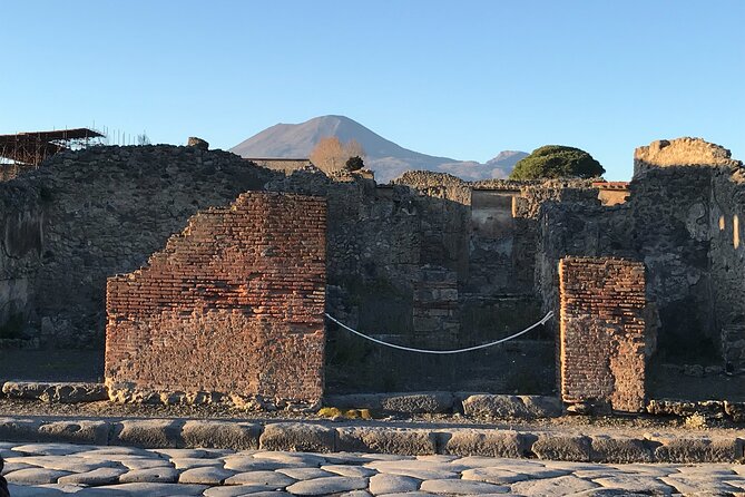 Pompeii Private Tour With Expert Local Guide - Historical and Archaeological Focus