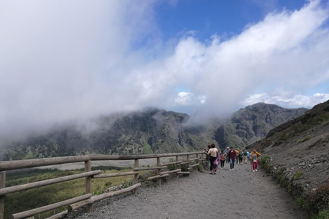 Pompeii & Vesuvius Tour Review - Tour Capacity and Cancellation