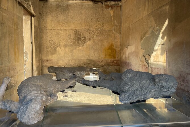 Pompeii, Vesuvius & Wine Tasting From Positano All Inclusive - Reviews and Feedback