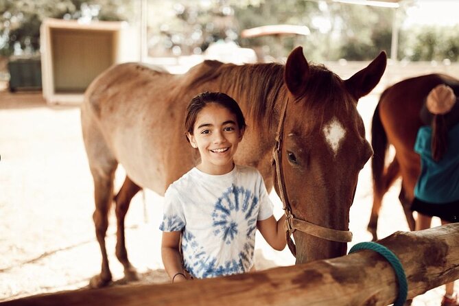 Pony Rides at North Shore Stables - Booking Process and Confirmation
